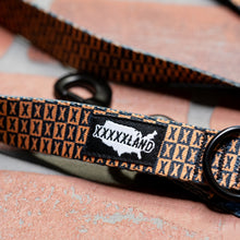 Load image into Gallery viewer, Leashes