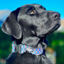 Load image into Gallery viewer, Patriot Collar Small