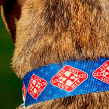 Load image into Gallery viewer, Patriot Collar Medium