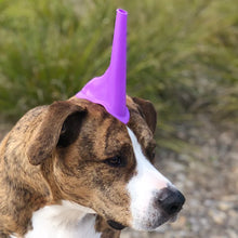 Load image into Gallery viewer, Liquid Fun Thing